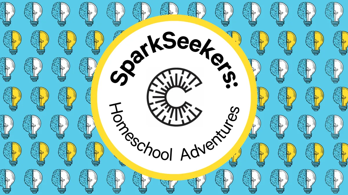 SparkSeekers: Homeschool Adventures – Go With the Flow
